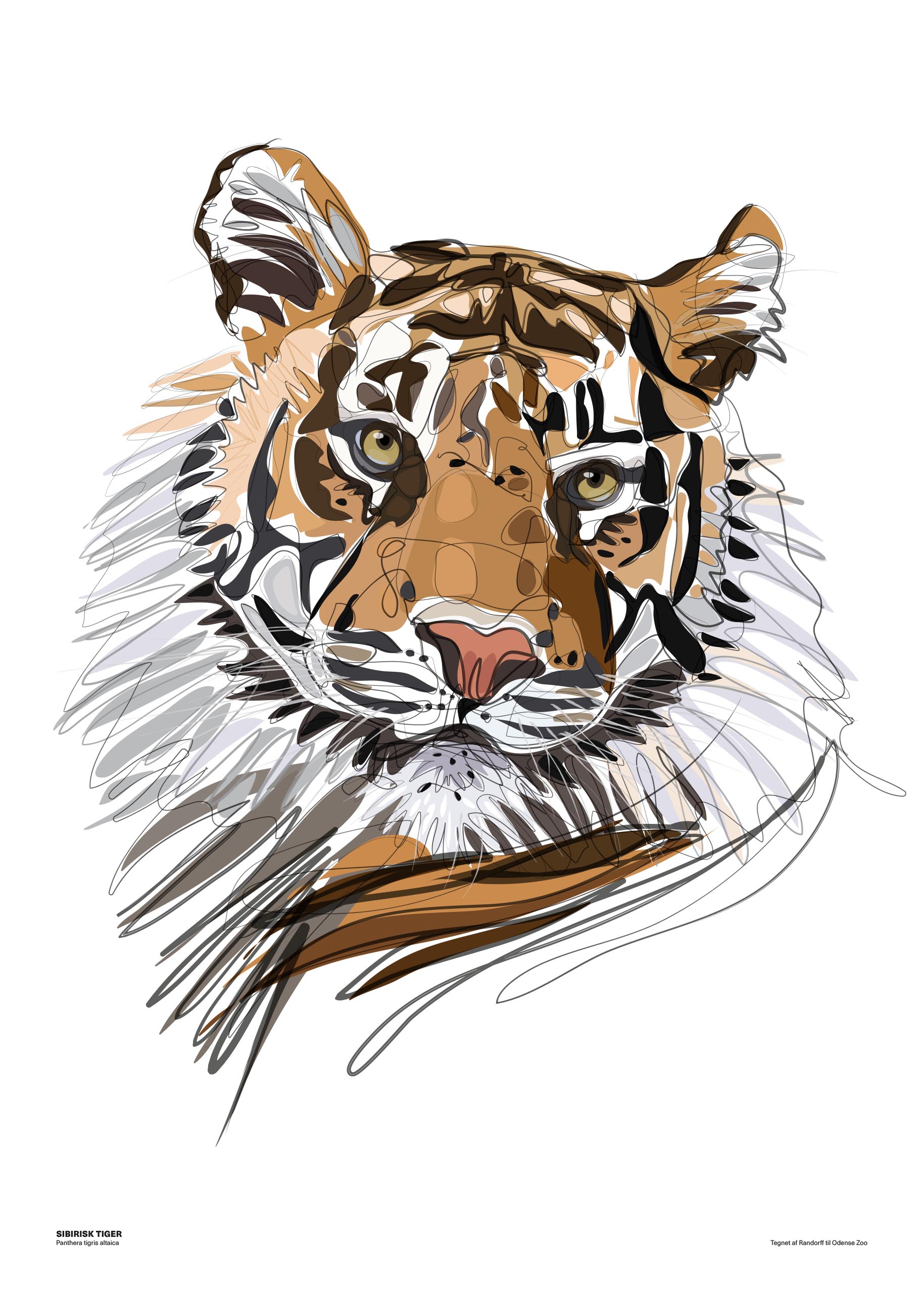 Sibirisk Tiger