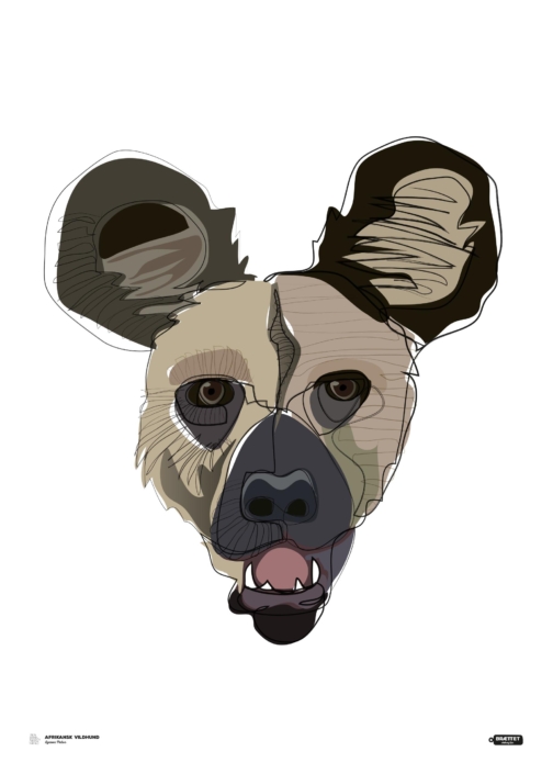 Afrikansk Vildhund