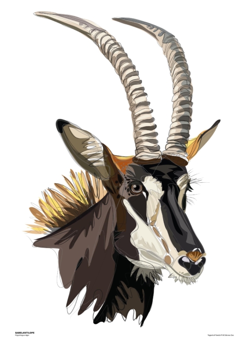 Sabelantilope
