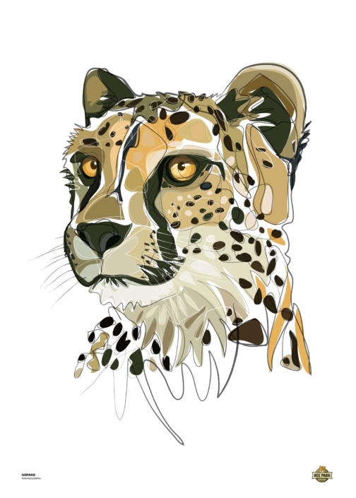Gepard 50×70