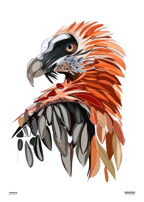 Lammegrib 50×70