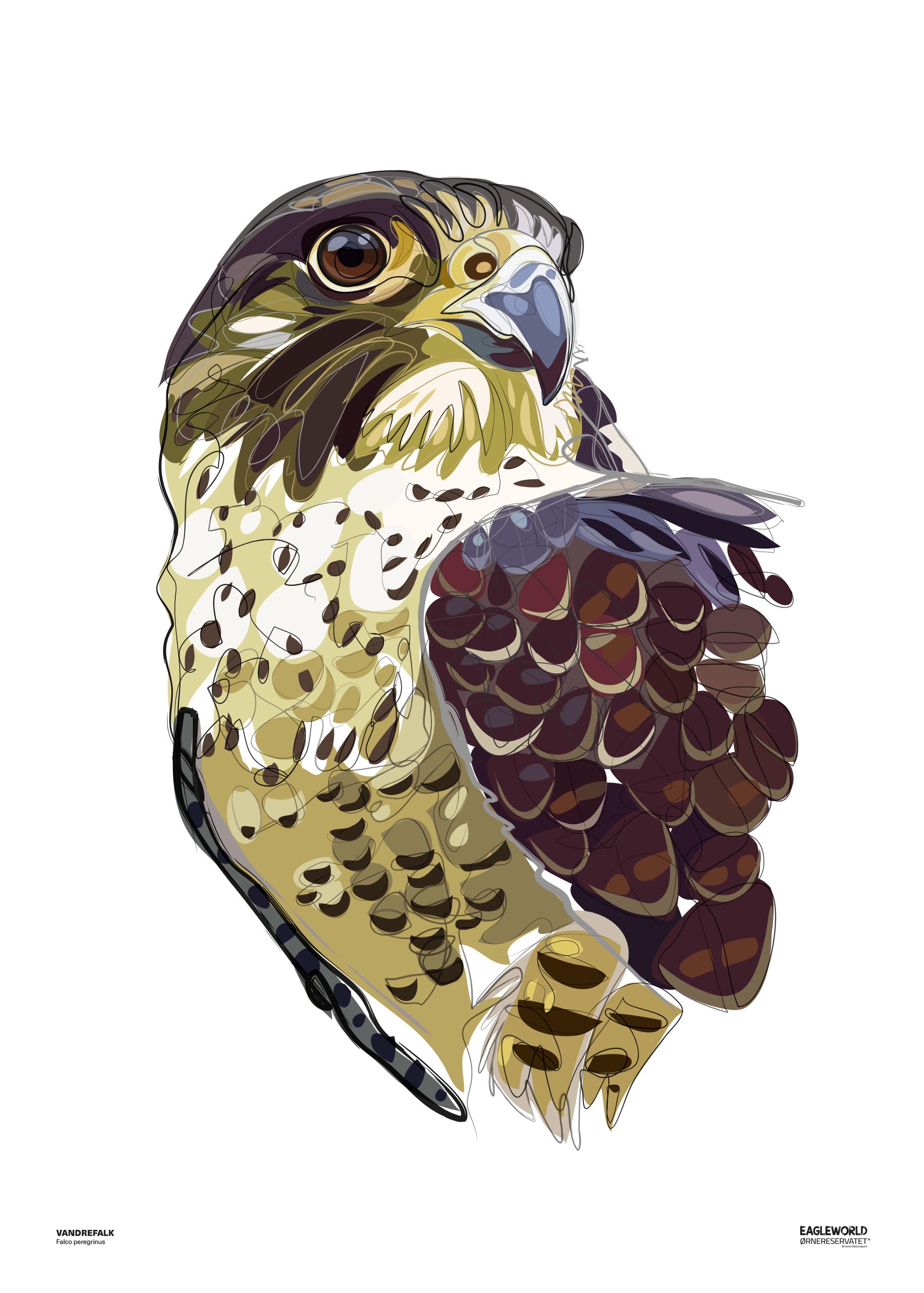 Lammegrib 50×70