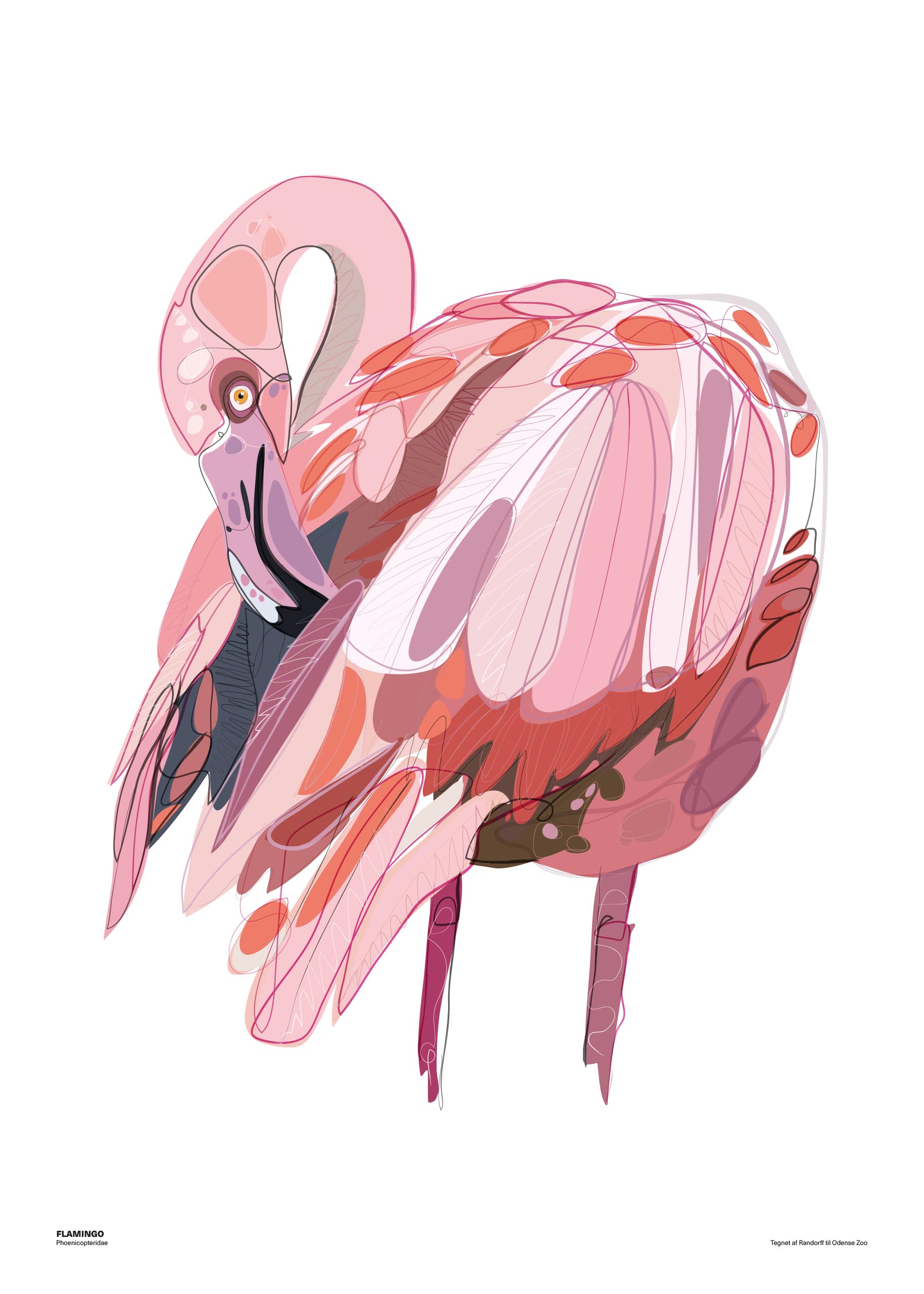 Flamingo