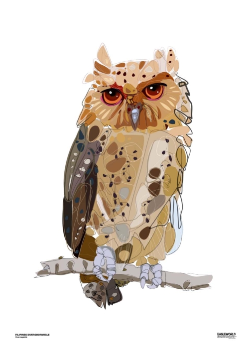 Filipinsk dværghornugle 50×70